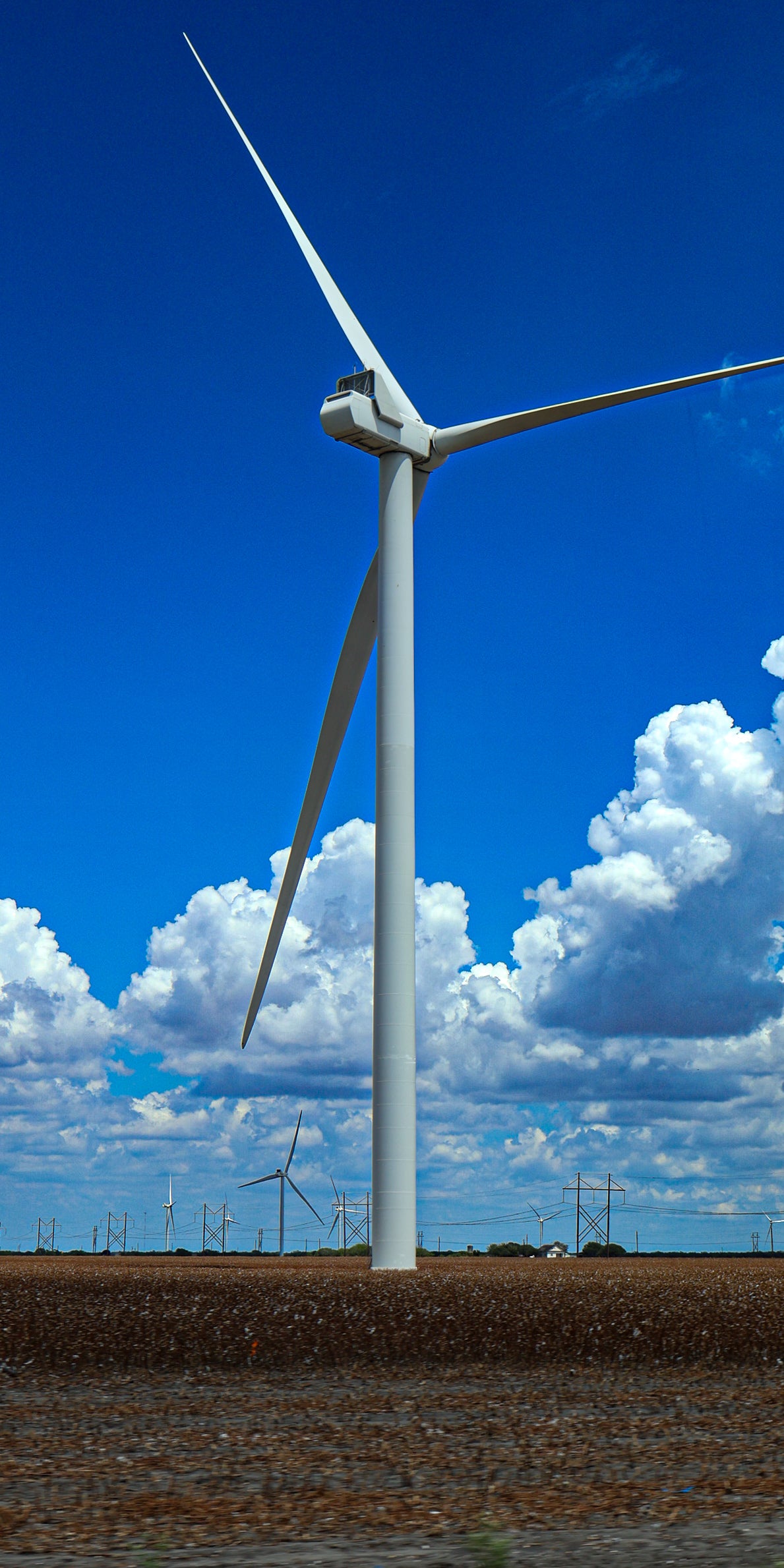 Texas Wind Power – Energy on the Horizon