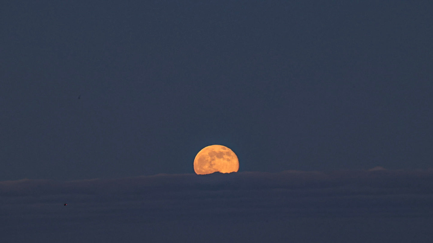 The Golden Edge of Night