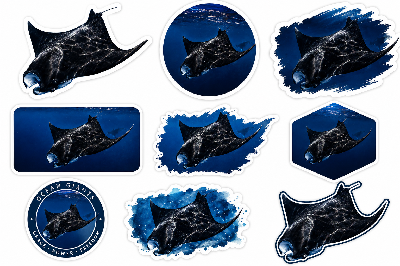 CAS2S Original Marine Life Sticker Pack – Mexico Collection (10 Random Stickers)