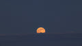 The Golden Edge of Night