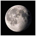 “January Moon – The Quiet Power of the Night | CAS2S Lunar Series”