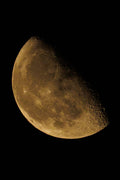 Half Moon 2026 — Light on the Edge of Night