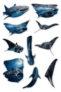 CAS2S Original Marine Life Sticker Pack – Mexico Collection (10 Random Stickers)