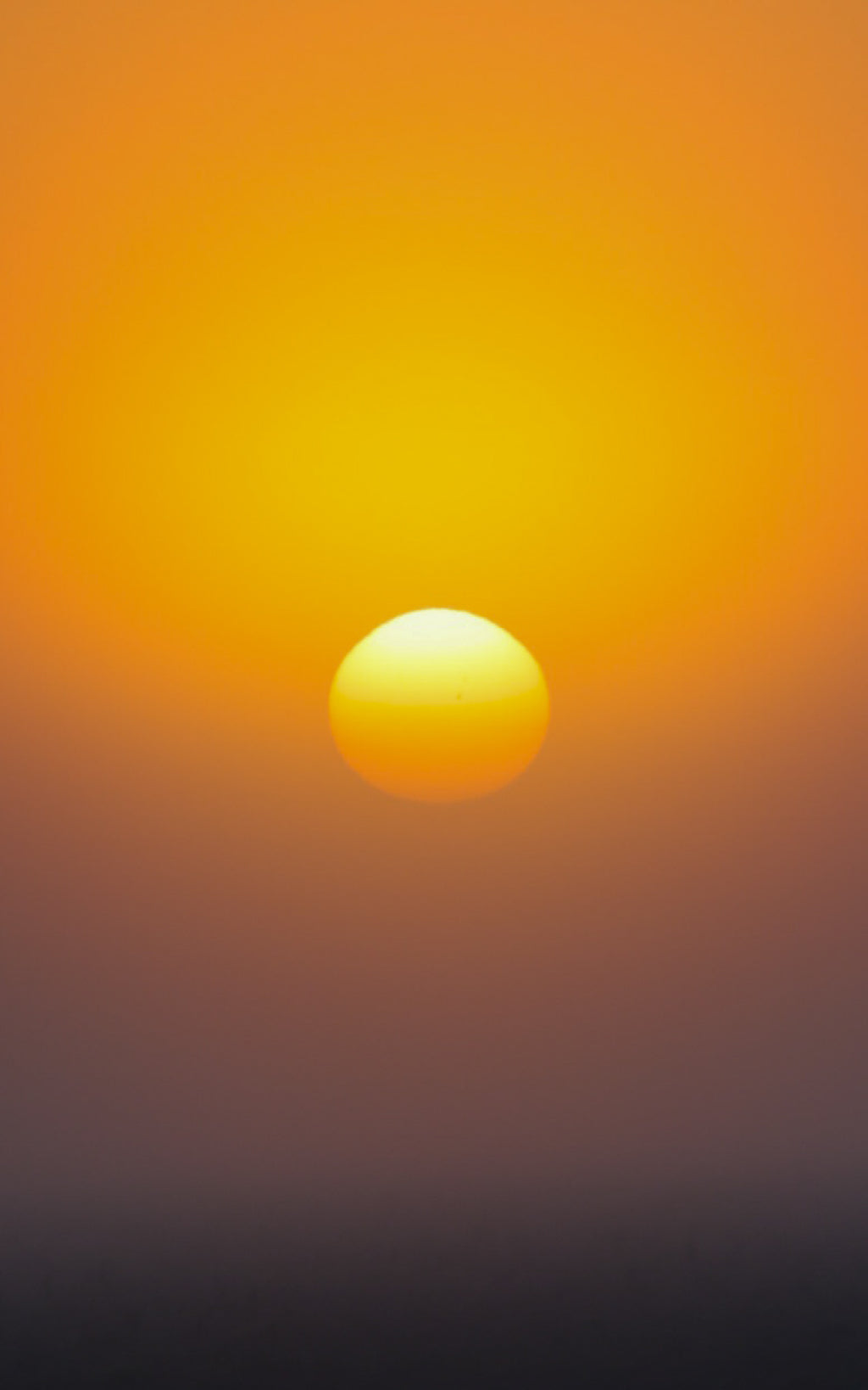 Silent Sunrise