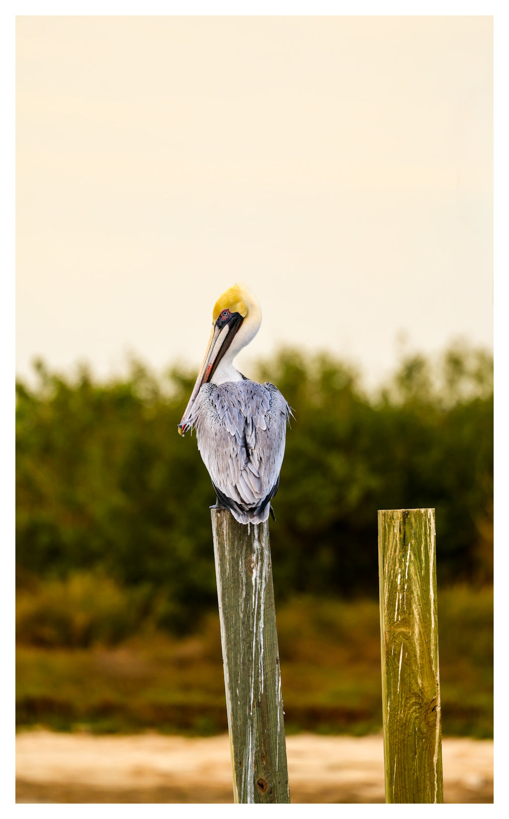 Between What Was Finished and What Was Left Behind