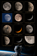Special Moon Edition